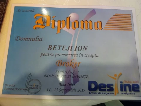 Asigurări auto non stop